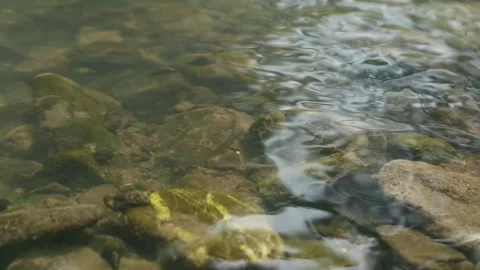 Water flow Stock Footage 341849135