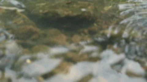 Water flow Stock Footage 341849469