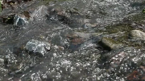 Water flow Stock Footage 341849516