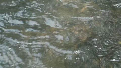 Water flow Stock Footage 341849727