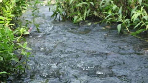 Water flow Stock Footage 341849776