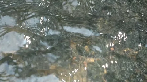 Water flow Stock Footage 341849777