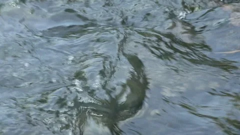 Water flow Stock Footage 341850095