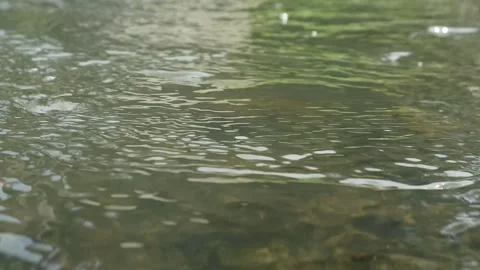 Water flow Stock Footage 341850673