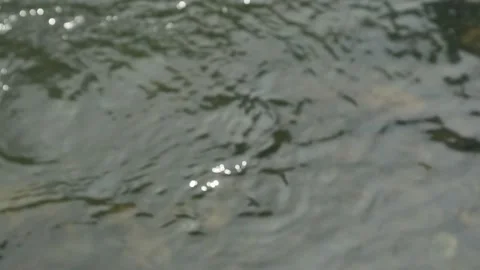 Water flow Stock Footage 341851332