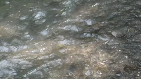 Water flow Stock Footage 341853550
