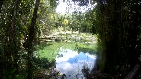Water flow in the forest in Thailand Video stock 246591214