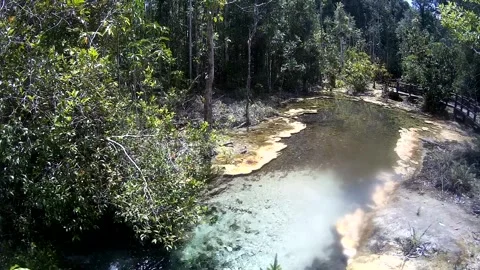 Water flow in the forest in Thailand Stock Footage 246591219