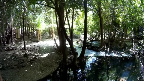 Water flow in the forest in Thailand Stock Footage 246591248