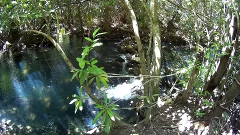 Water flow in the forest in Thailand Vídeo Stock 246591249
