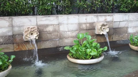 Water Flow From The Garden Stock Footage 244202956