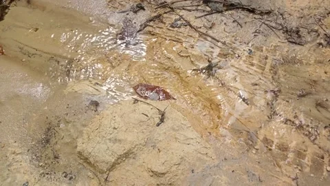 Water flow on the ground Stock Footage 213532447