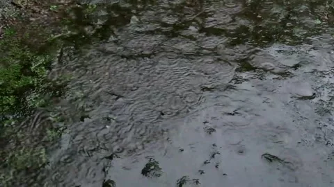 Water Flow On The Ground Stock Footage 217374540