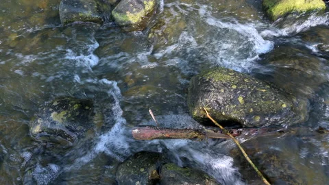 Water flow high angle view at riverside Stock Footage 156743479