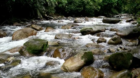 Water flow at Hutan Lipur Sungai Sedim. | Stock Video | Pond5