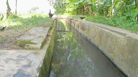 Water flow in irrigation canals 스톡 동영상 241912244