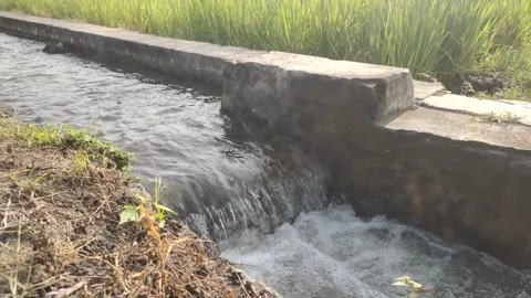 Water Flow in Irrigation Channels Stock Footage 314628174