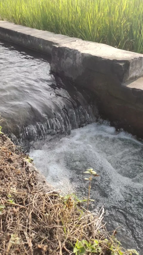 Water Flow in Irrigation Channels Stock Footage 314628181