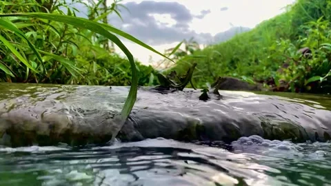 Water flow in the middle of the rice fields Stockbeeldmateriaal 232353025