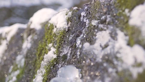 Water flow, mossy stone Stock Footage 71209190