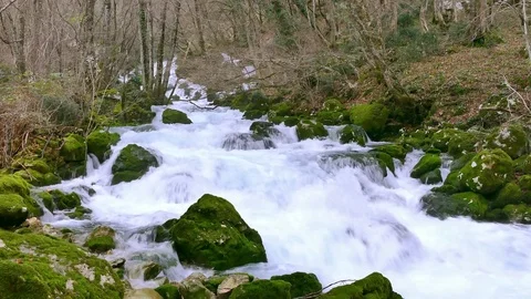 Water flow of a mountain creek Stock Footage 83867728