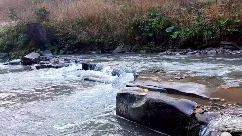 Water flow in a mountain river. Stock Footage 254895905