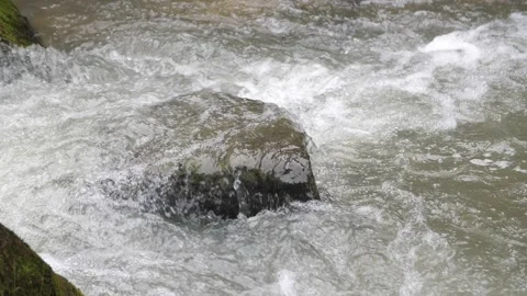 Water flow of a mountain river in the forest, slow mo, Carpathians, Ukraine Stock Footage 260802437