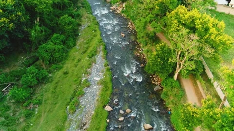Water flow of a mountain river in a green forest of America. Stock Footage 246263684