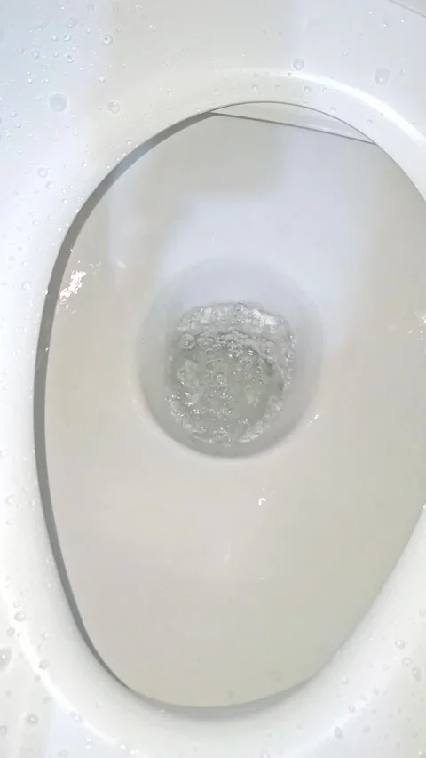 Water Flow Movement Inside Modern Toilet Bowl Stock Footage 337273449