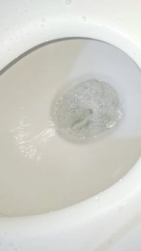 Water Flow Movement Inside Modern Toilet Bowl Stock Footage 337273451