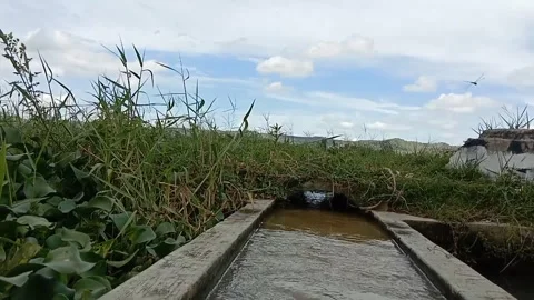 Water flow in a narrow channel. Vídeos de archivo 333802443