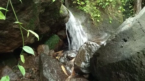 Water Flow Over Mossy Rocks Close Up Forest Stream Texture Stock Footage 330589105