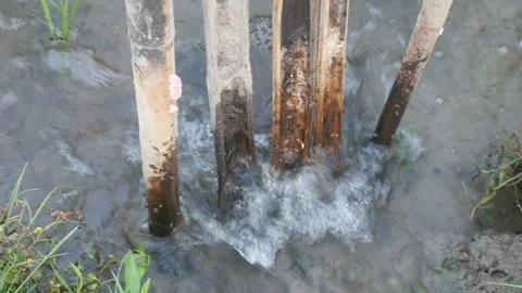 Water flow in to paddy field Video stock 85700460