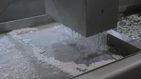 Water flow with plastic granules, pellets, recycling machine: filtration Stock Footage 341851113