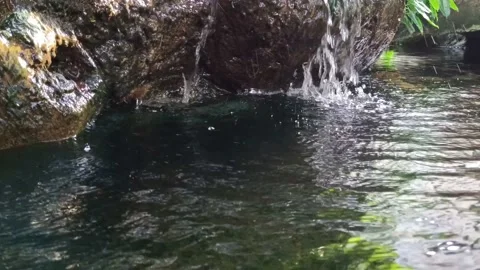 Water flow to the pond Stock Footage 236990860