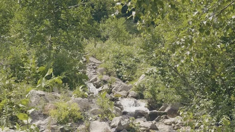 Water flow in rapid river in summer forest at mountain. Mountain river landscape Stock Footage 94252800