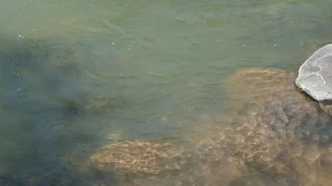 Water flow on the river bank Stock Footage 297629262