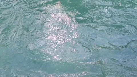 Water flow in river close-up of clear daytime and highlights 스톡 동영상 246851269