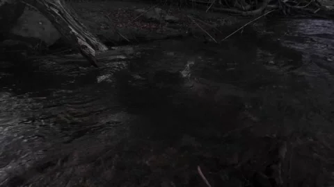 Water flow river creek forest mountain cold stream up-close shallow rapids Stock Footage 314299119