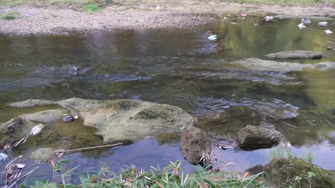 Water flow river Stock Footage 158462764