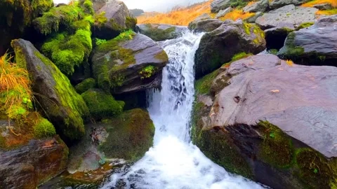 Water flow in the river Stock Footage 242240749