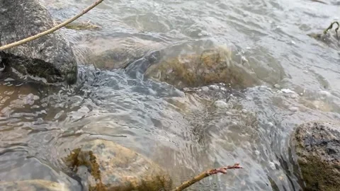 The water flow on the river Vidéo 341765636