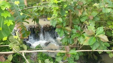 The water flow in the river that forms a small waterfall Video stock 232918082