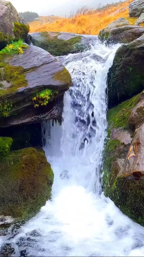 Water flow in the river (Full HD) Stock Footage 242240918