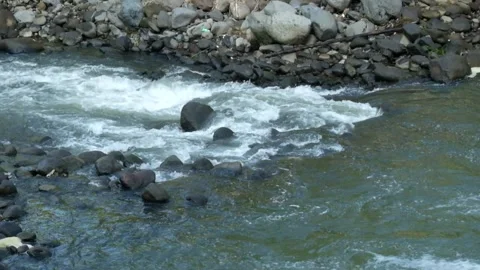 The water flow in the river is rocky Video stock 280389695