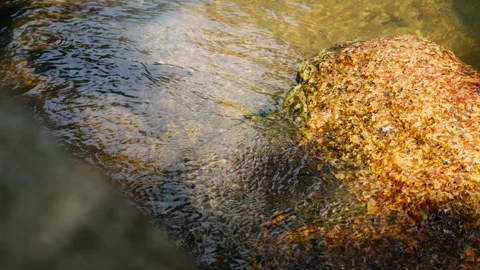Water flow at the river side Stock Footage 275326558