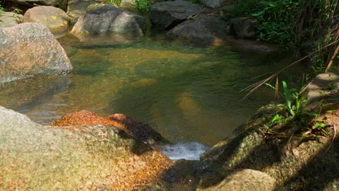 Water flow at the river side Stock Footage 275326689