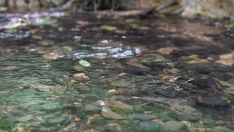 Water flow in the river, water rocks, river rocks Stock Footage 249409617