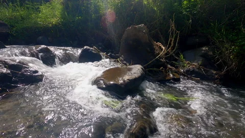Water flow rocky riverside medium close up Stock Footage 273123370