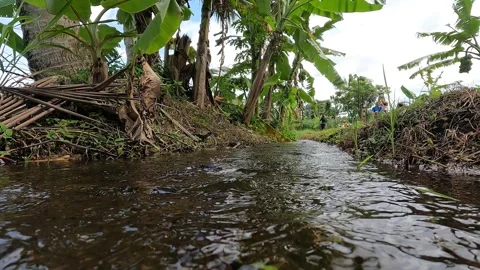 Water Flow Seen from Low Angle near Rice Fields, Sleman, Indonesia Video stock 320853113